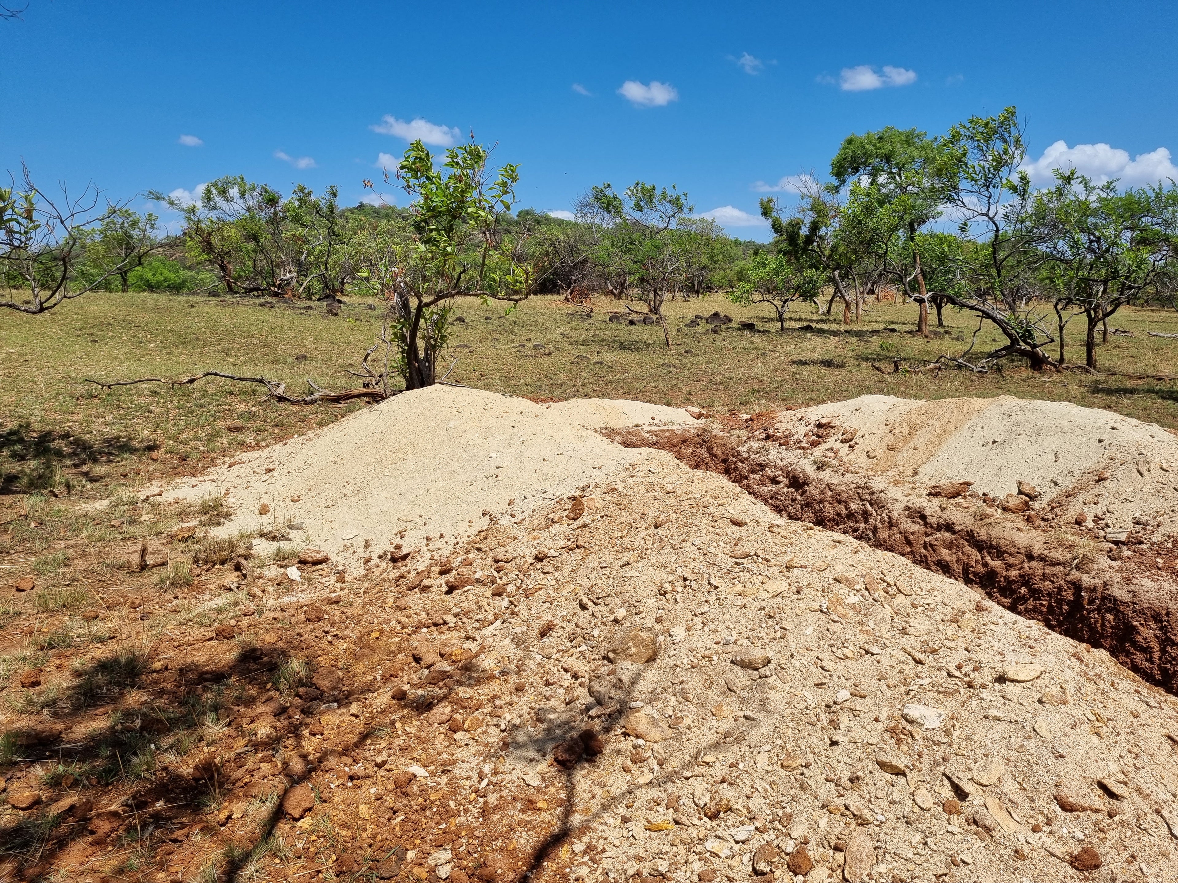 Karamoja Gold