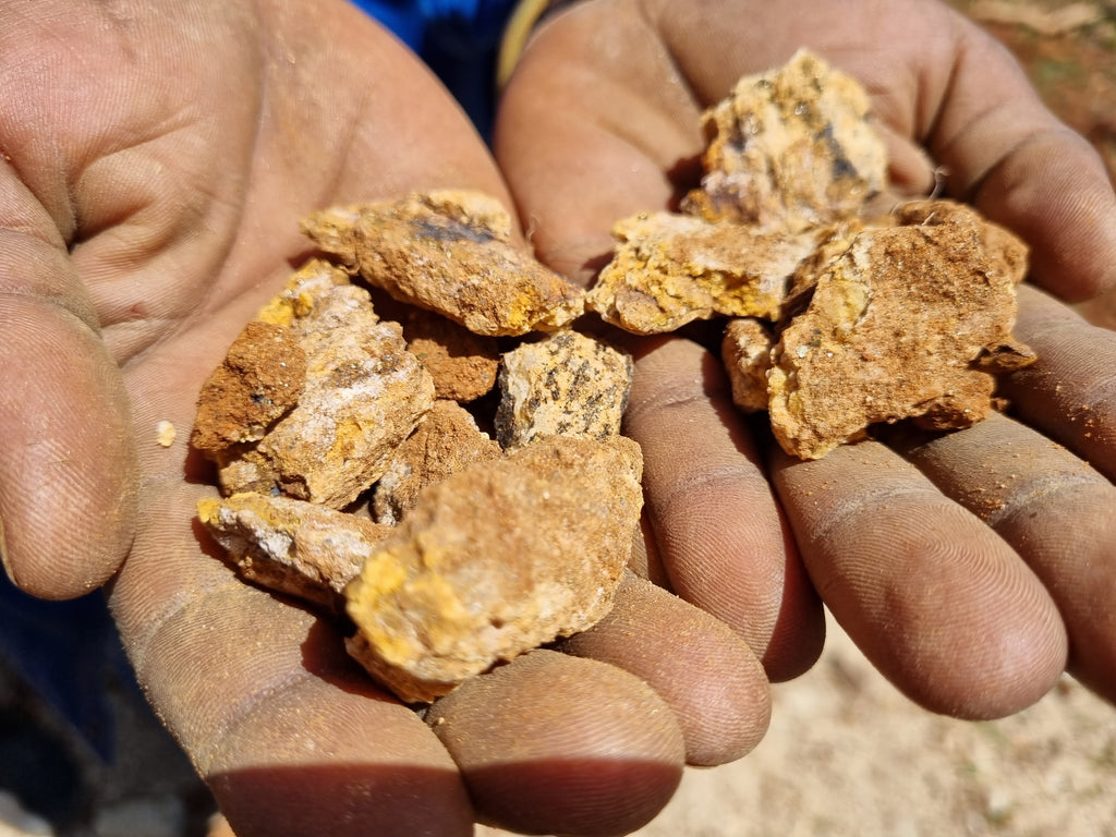 Karamoja Gold