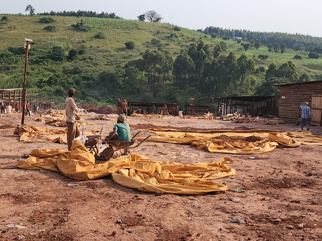 Lugongwe Gold